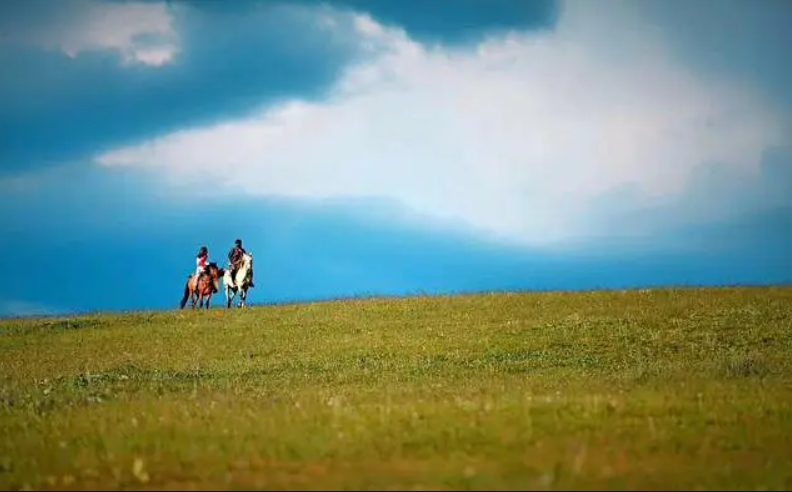 ��������ѧ����