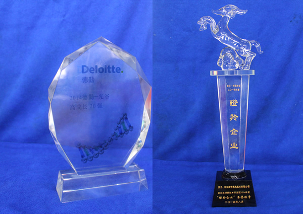 ���ޱ�Ӯ�ٴ��ٻ񡰵�����ҵ��������ѡ������-��ȸ߳ɳ�20ǿ��