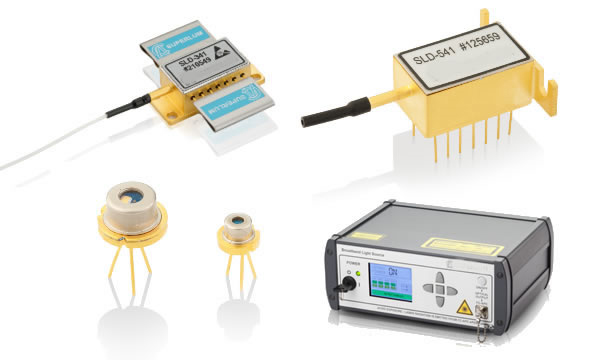 ������ӫ�������