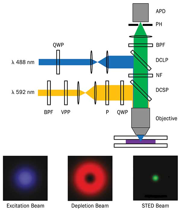 ���ֱ���΢����ϵͳʾ��