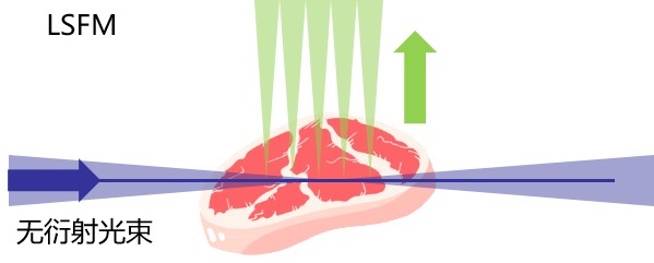 ����������ڹ�Ƭӫ����΢��