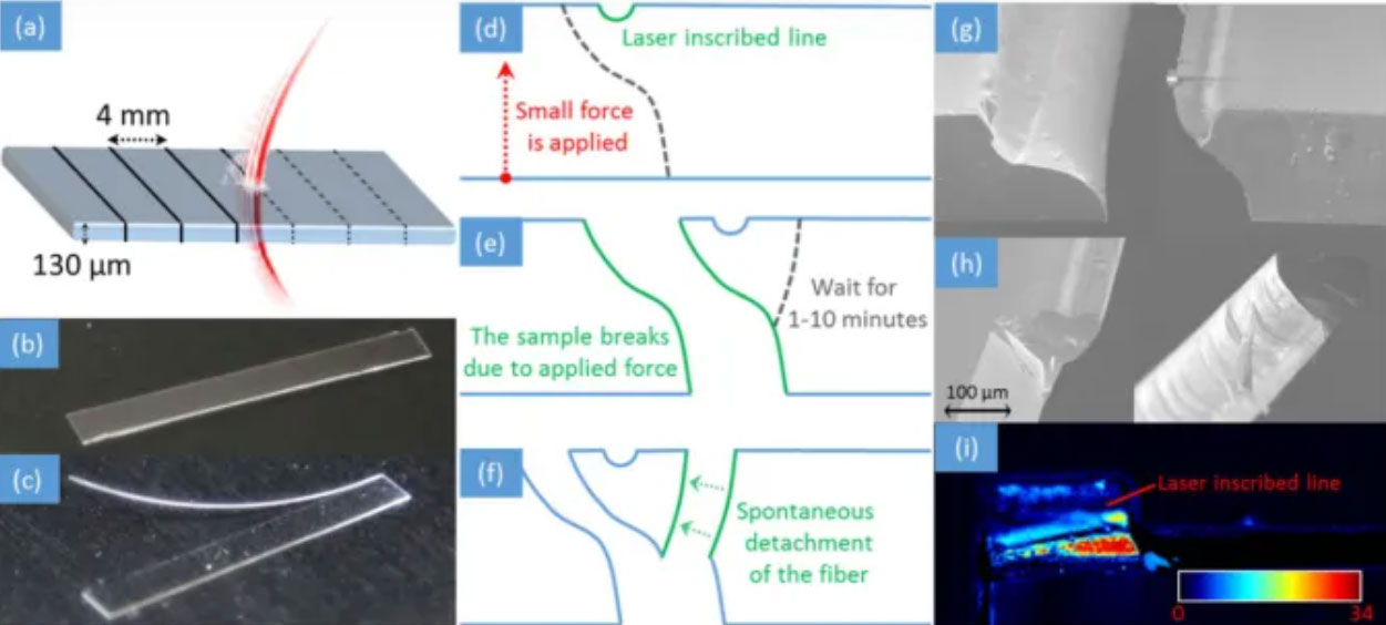 ����������ڲ����и�