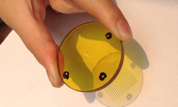 SGDϵ��΢�ɹ�ѧԪ��